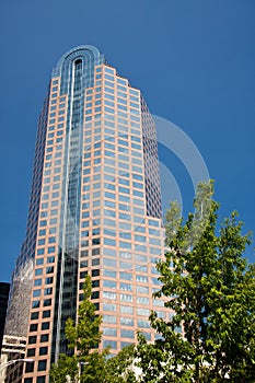 Office Tower photo