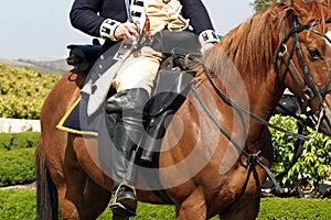 Ufficiale sul cavallo un cavallo 