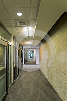 Offices with glass doors line the hallway of a modern office building