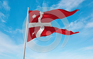 official flag of Naval Rank Senior Officer Afloat, Denmark at cloudy sky background on sunset, panoramic view. Danish travel and