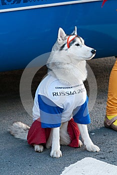 The official live mascot of the 2018 FIFA World Cup and the FIFA