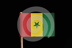 A official and original flag of Senegal on toothpick on black background. A vertical tricolour of green yellow and red with green