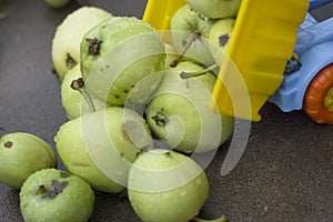 Offloading Fruits