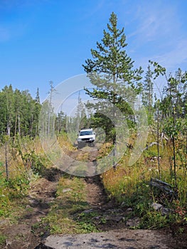 Offroad adventure on Toyota in the forests of Karelia