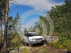 Offroad adventure on Toyota in the forests of Karelia