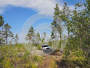 Offroad adventure on Toyota in the forests of Karelia