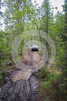 Offroad adventure on Toyota in the forests of Karelia