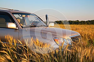 Offroad car on wheaten field