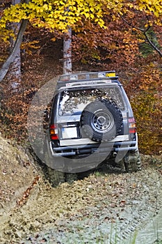 Offroad driving into a forest photo