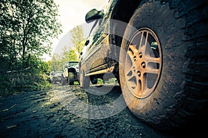 OffRoad Forest Expedition