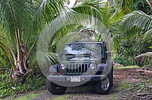 Offroad Hawaii photo