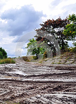 Offroad, natural dirt terrain