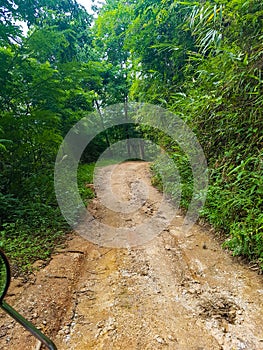 Offroad off road street stones earth mudder dirt bike scooter tree forest north chiang mai village Thailand sun day trip