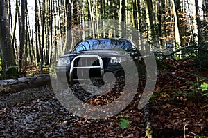 Offroad race on fall nature background Motor racing in autumn forest. Rallying, competition and four wheel drive concept