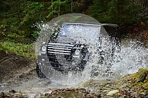 Offroad race in forest. Car racing with creek on way. Extreme driving, challenge and 4x4 vehicle concept. SUV or offroad