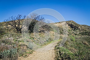 Offroad Trail in Desert Hills