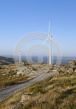 Wind turbines with offroad trail photo