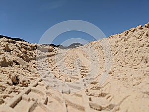 Offroad Tyre Tracks In The Sand