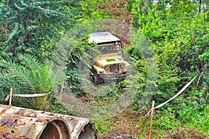Offroading in the Jungle