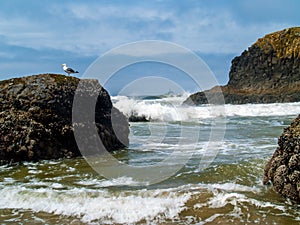 Offshore lighthouse on the Oregon Coast