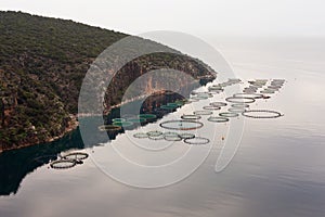 Offshore open sea fishfarm