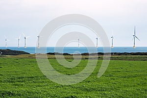 Offshore wind turbines on a cloudy summer morning