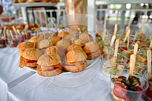 Offsite buffet. Photo of different food