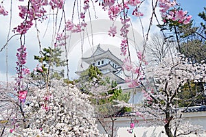 Ogaki castle in Gifu