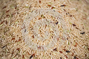 Oganic brown rice or riceberry healthy food from Thailand