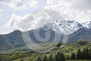 Ogden Peak in the wasatch mountains photo