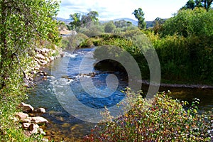 Ogden River photo