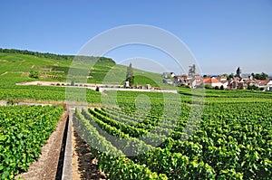 Oger,Champagne,France