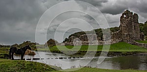 Ogmore castle