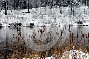 Ogre river in winter