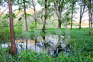 Ogublyanka Lake, Zhukovsky District, Kaluzhskaya Region, Russia