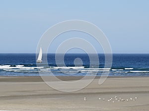 Ogunquit Beach, Maine at Low Tide with Sailboat