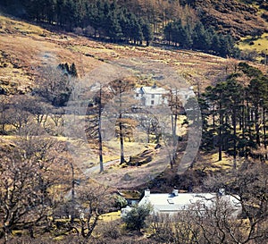 Ogwen Valley at Early Spring Detail