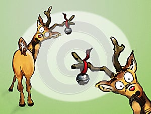 Oh no! Two Christmas Reindeer