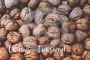 Oh nuts... I`m sorry! A picture of walnuts with text that reads `oh nuts... I`m sorry`