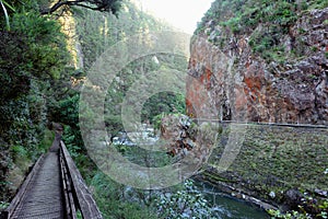 Ohinemuri river flowing in the Coramandel ranges near Karangahake