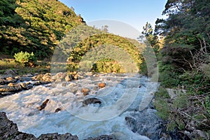 Ohinemuri river flowing in the Coramandel ranges near Karangahake