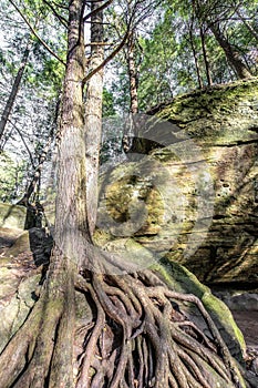 Ohio Hocking hills state park