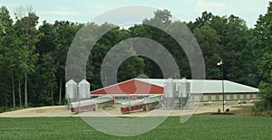 Ohio Pig Farm