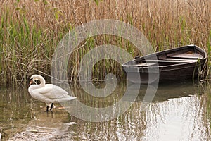 Ohrid lake photo