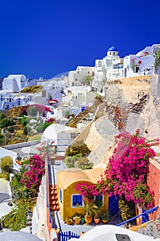 Oia, Santorini island, Greece. Traditional and famous white houses and churches with blue domes over the Caldera, Aegean sea.