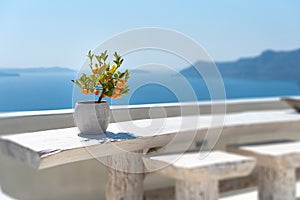 Oia - Terrace on the Aegean sea - Santorini Cyclades Island - Greece
