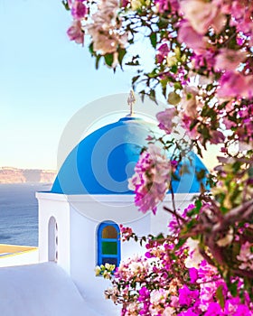 Oia, traditional greek village of Santorini with blue dome of churches with purple flowers, Greece