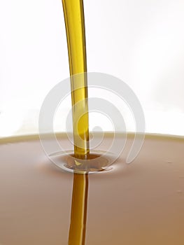 Oil