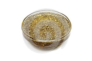 Oil of anise seed in a glass dish