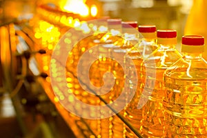 Oil in bottles. Industrial production of sunflower oil. Conveyor